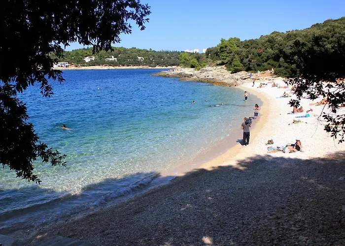 Appartement With A Parking Space - 15678